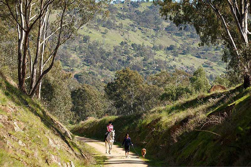 High Country Rail Trail