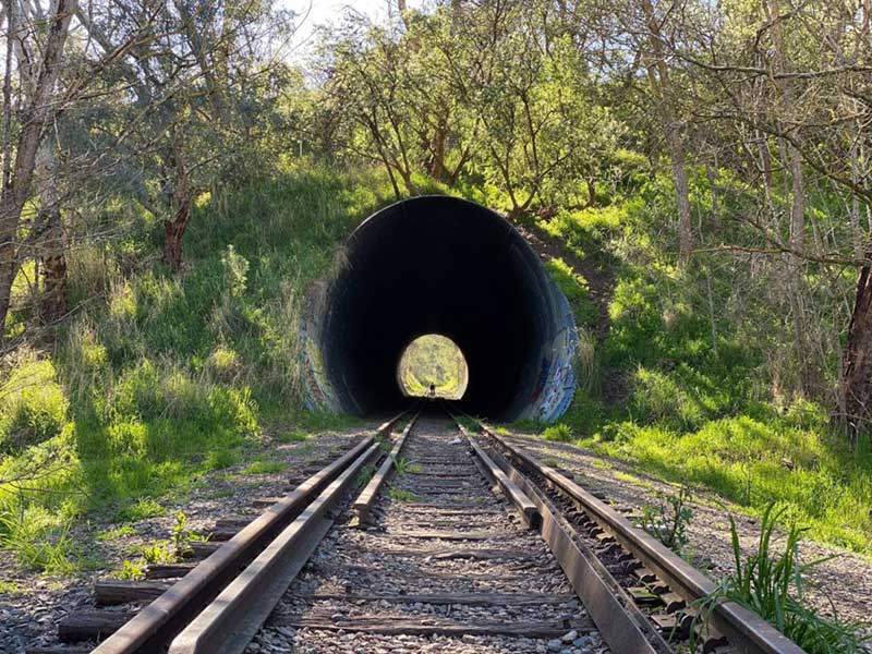 Littlehampton Railway Twin Tunnels, SA
