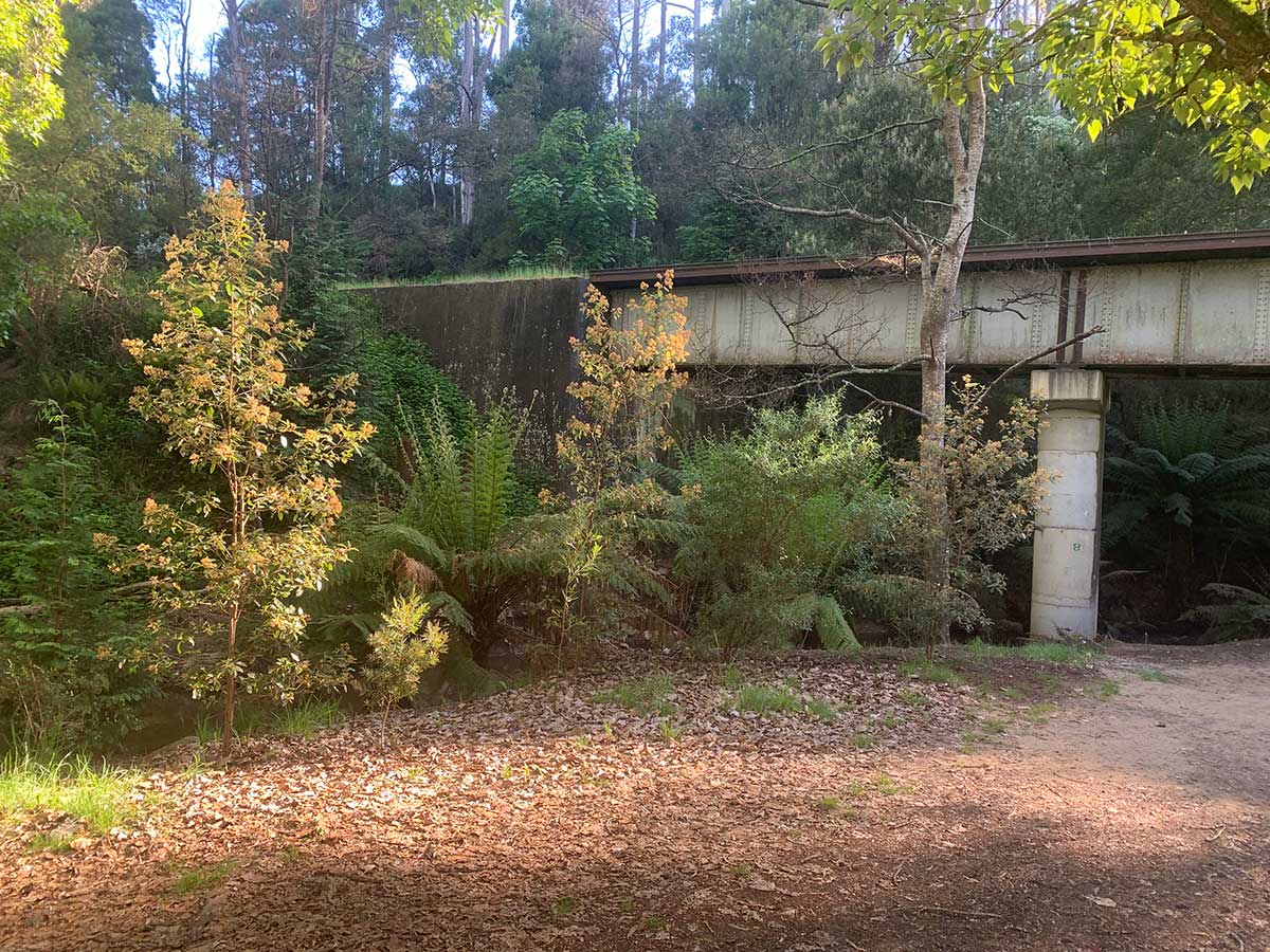 North Eastern Railway, Tasmania