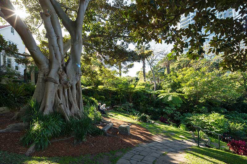 Wendy's Secret Garden